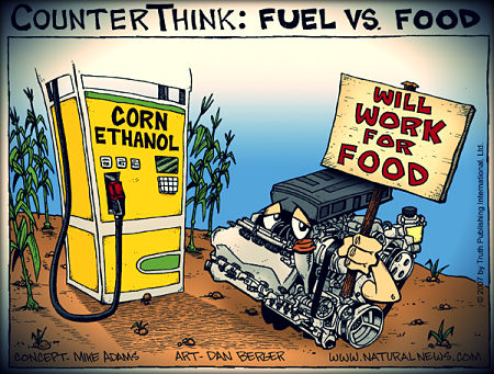 do biofuels contribute to world hunger?