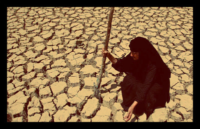 Water Crisis in Yemen | The Borgen Project