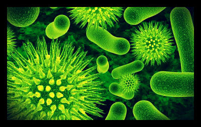 bacteria microorganisms genetically modified independence energy through system microbes diseases virus bacterias germs genetic harmful microbial infection library clipart micro