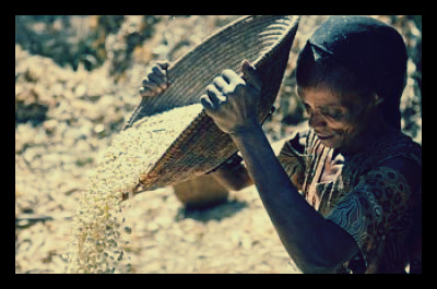 essay on ending world hunger Ok ere is my essay (at least 100 words ) : actions are needed to stop world hunger because more than 900,000,000 persons are malnourished, more than. essay on ending world hunger Ok ere is my essay (at least 100 words ) : actions are needed to stop world hunger because more than 900,000,000 persons are malnourished, more than.