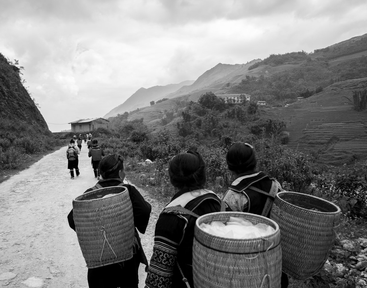 Mist-covered mountains and terraced fields in Sapa, Vietnam, showcasing natural beauty. KOTO