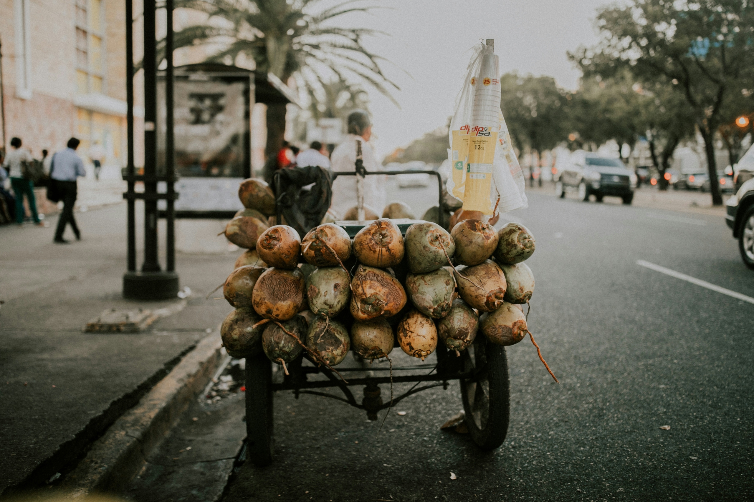A street vendor sells fruits from a cart in the Dominican Republic.