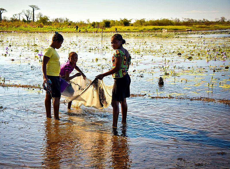 10 Facts About Sanitation in Madagascar