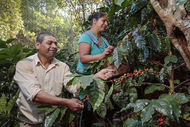 10 Mission-Driven U.S. Coffee Shops Fighting Global Poverty