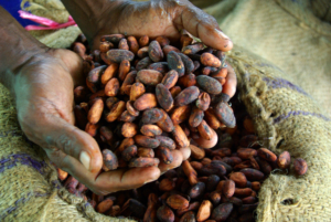Ben & Jerry's Pays Cocoa Farmers a Living Wage