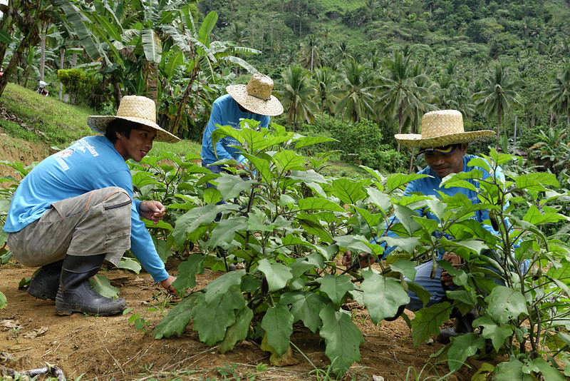 AI Is Fighting Global Poverty