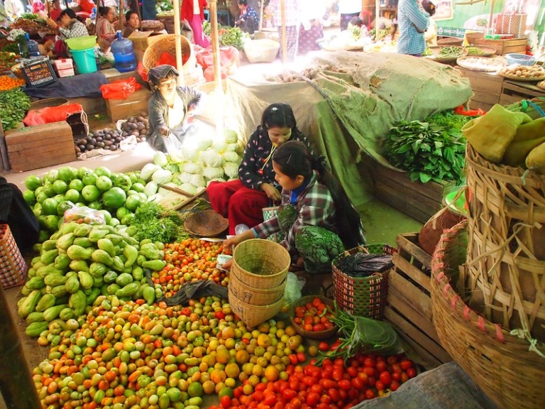 5 Things to Know About the Hunger Crisis in Myanmar - The Borgen Project