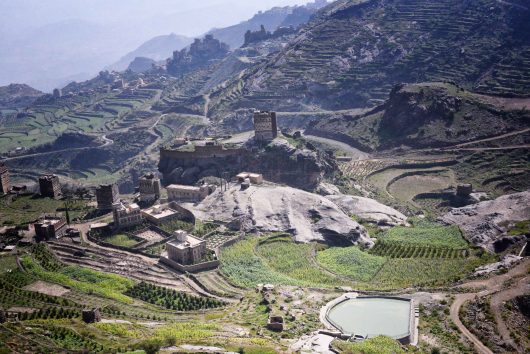 sustainable agriculture in Yemen