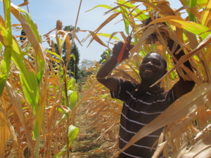 Ghana - ELD Initiative