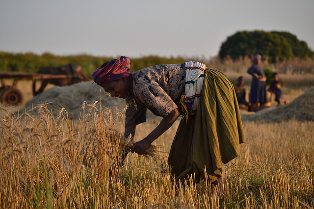 How Agsol Brings Power To Poor Farmers