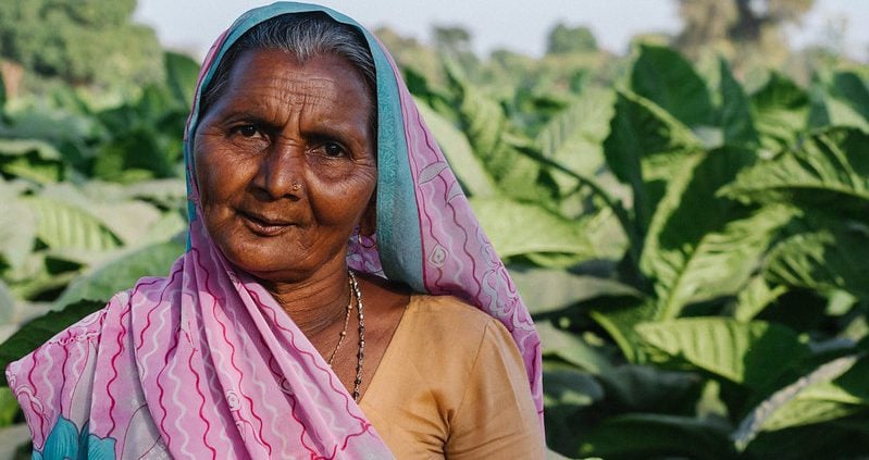 Undernourishment in India
