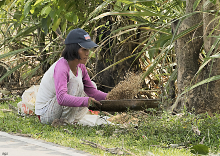Sustainable Land Management Practices - The Borgen Project