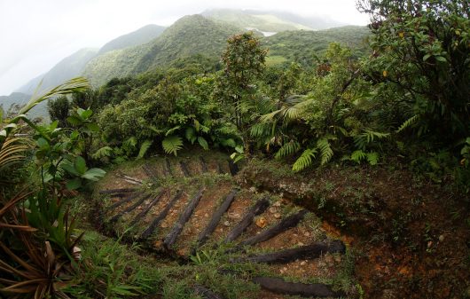 Upper-Middle Income: Obesity, Malnutrition and Hunger in Dominica