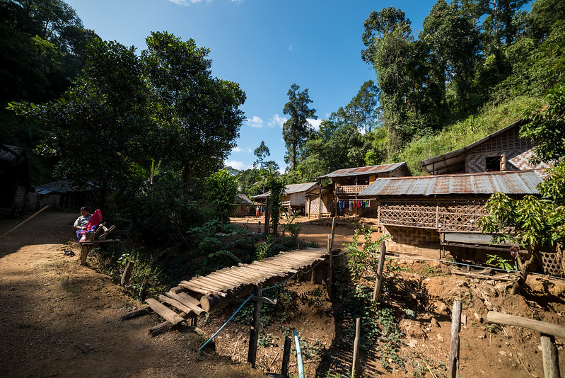 Thailand’s efforts against deforestation