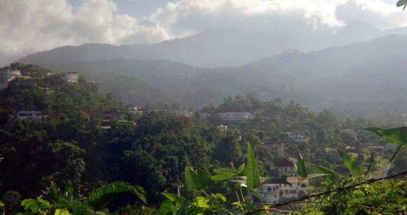 Prostate Cancer in Jamaica