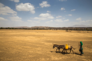 USAID Partners in Ethiopia