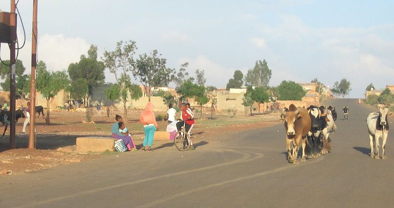 Food Insecurity in Eritrea