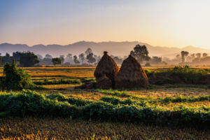 US AID and Nepal Partner to Educate on Agriculture