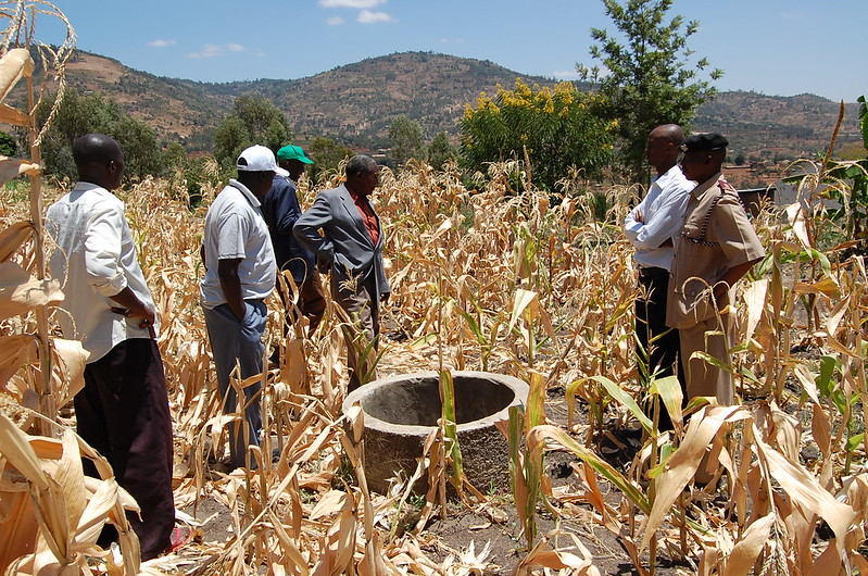 3 NGOs Fighting the Water Crisis in Eswatini
