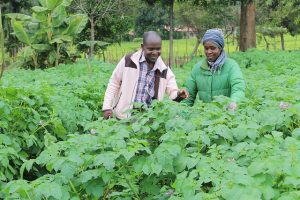 The Green Belt Movement is Saving the World and Empowering Women