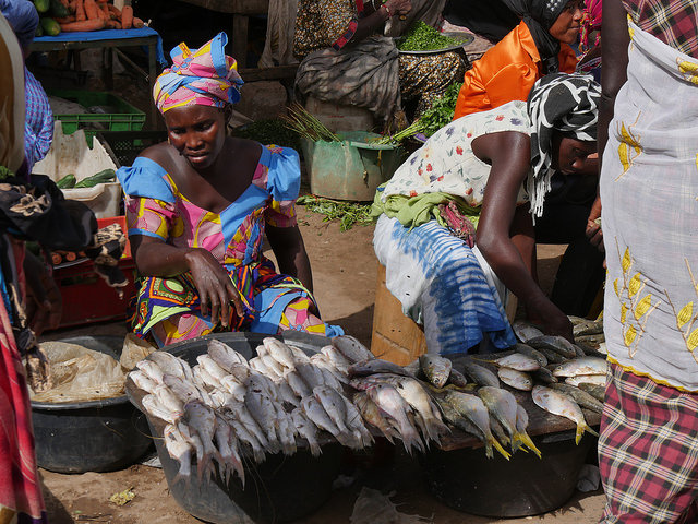 Addressing the Causes of Growing Hunger in Gambia