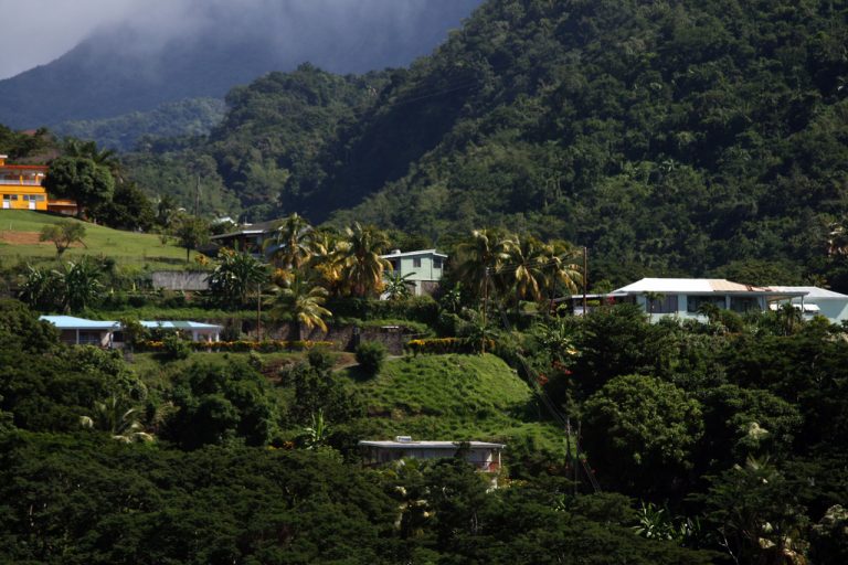 Speaking About the Listing of Top Diseases in Dominica