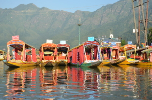 Poverty Reduction in Kashmir