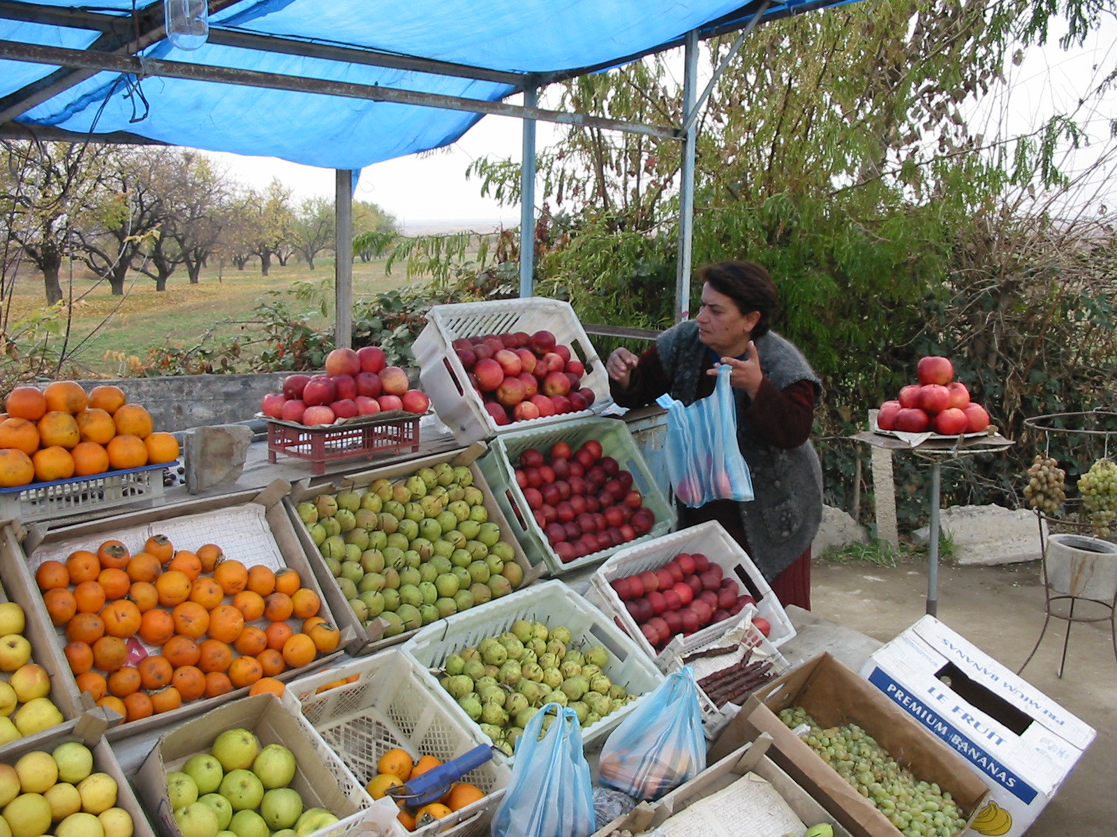 Malnutrition in Armenia