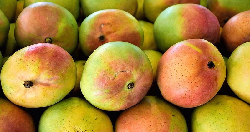 Côte d'Ivoire's mango industry