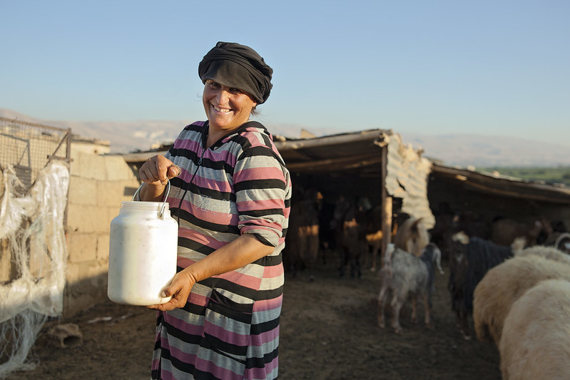 UN-Funded Cooperatives Empowering Lebanese Women - The Borgen Project