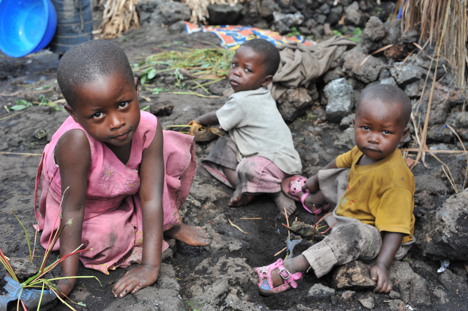 Poverty Eradication in Rwanda Four Crucial Programs The Project