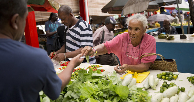 Disability and Poverty in the Seychelles