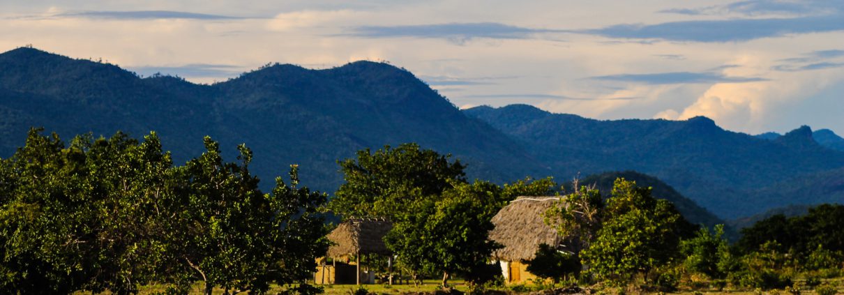 Food Systems in Guyana