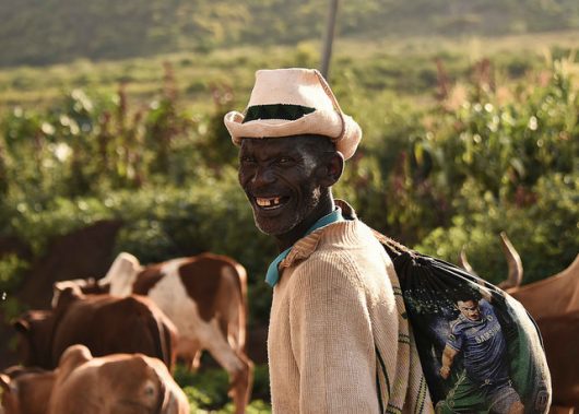 terminator seeds threaten sustainable farming methods