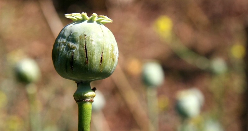 Poverty in Northern Thailand