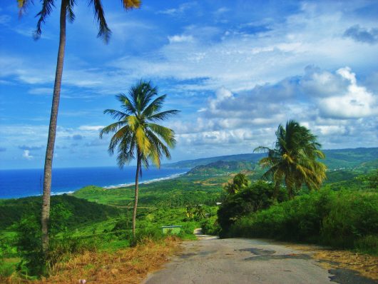 Everything There Is to Know About Hunger in Barbados