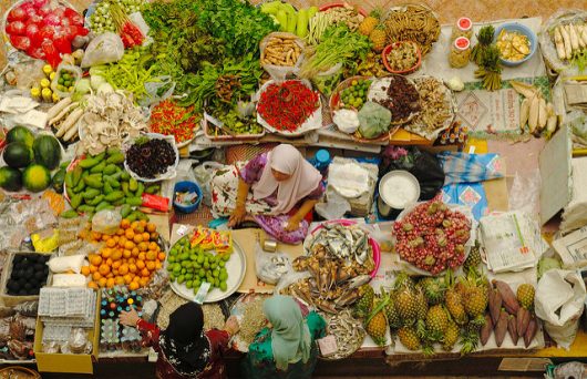10 Important Facts To Definitely Know About The FAO