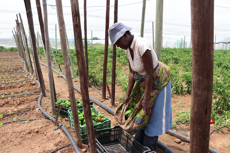 Food Insecurity in Botswana
