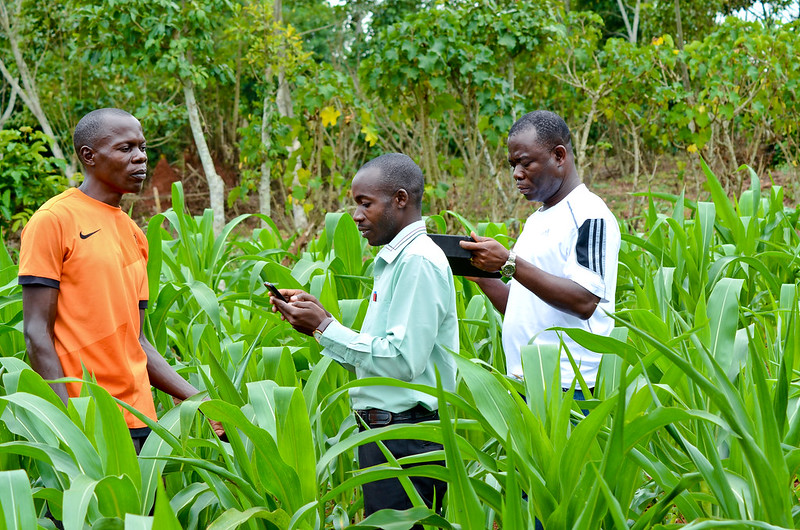 Impact of AI on Agriculture