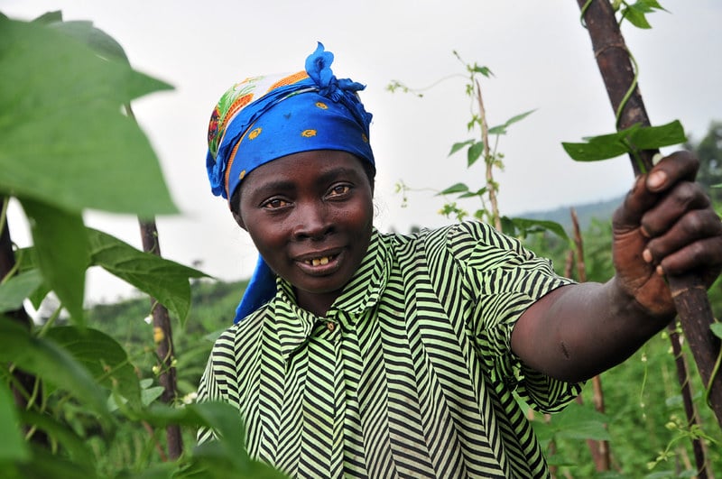 How China Helps Alleviate Poverty in the DRC - The Borgen Project
