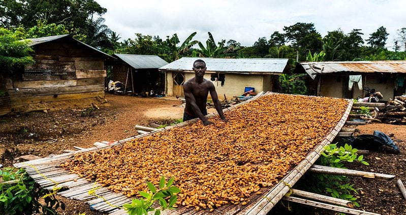Ghana Chocolate Industry