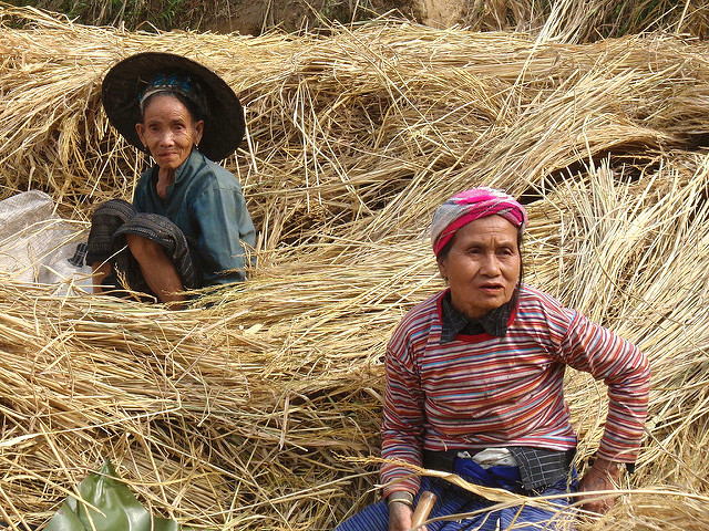 10 Facts About Poverty In Laos That Everyone Should Know The Borgen