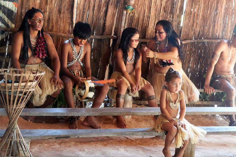 Indigenous Rights in Brazil