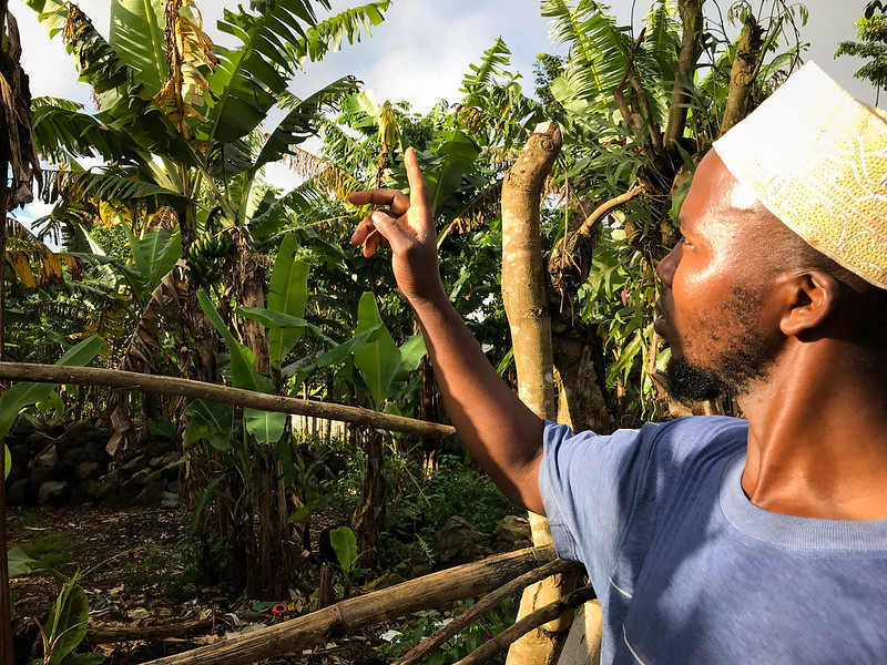 poverty reduction in comoros