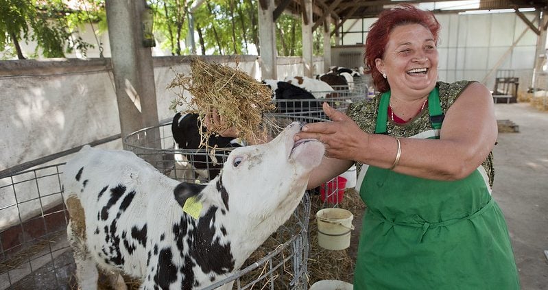 digital platform for small farms in Serbia