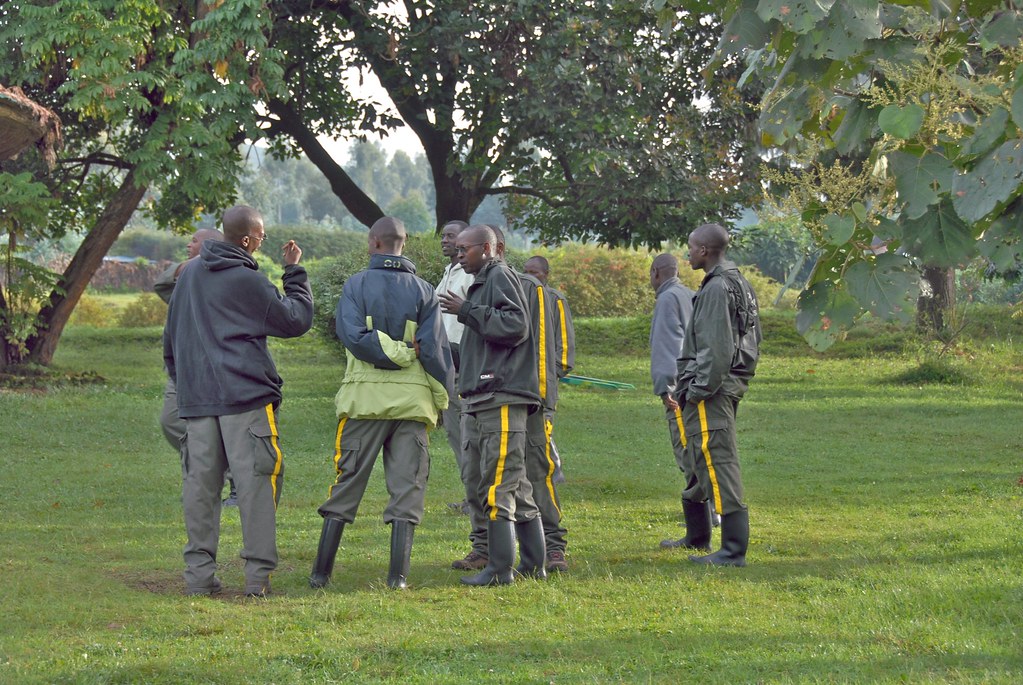Mountain Gorilla Conservation and Poverty Reduction
