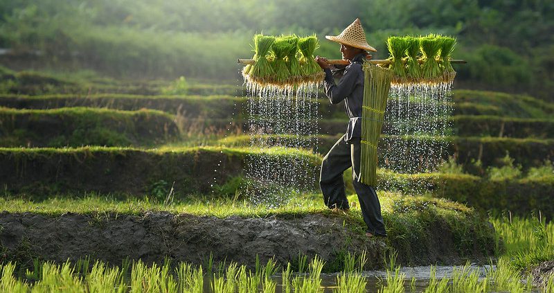 health riders in Thailand