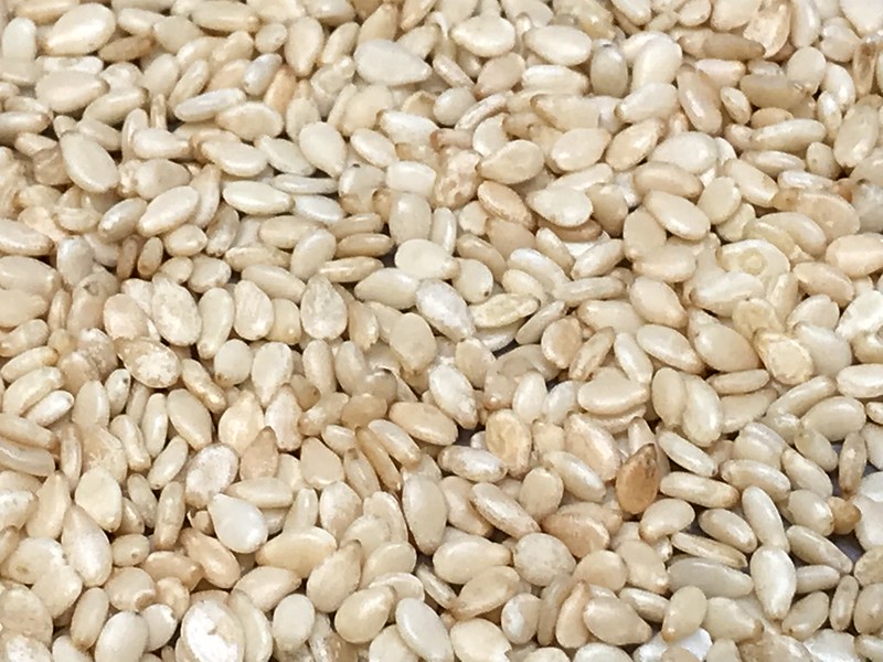 The Importance of Sesame Seeds for Nigeria’s Economy The Project