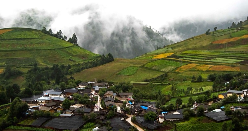Poverty Reduction in China