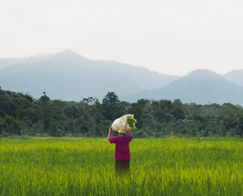 5 Organizations That Tackle Food Insecurity In Malaysia 
